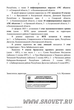 Эпизоотическая обстановка в РФ на 26 февраля 2023 года